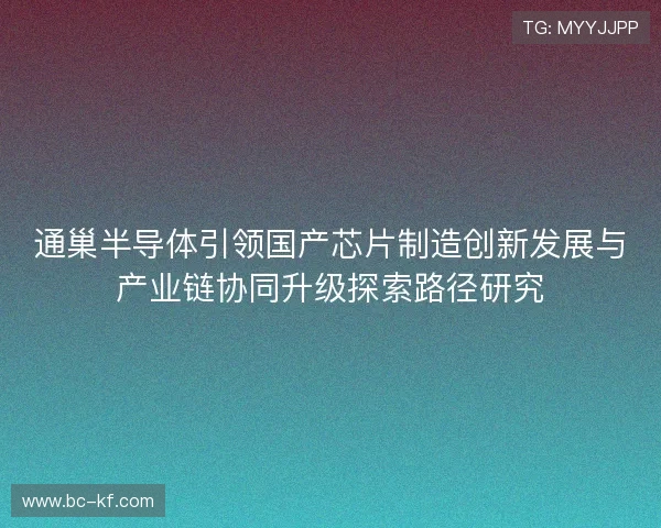 通巢半导体引领国产芯片制造创新发展与产业链协同升级探索路径研究